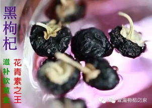 女人吃黑枸杞的危害 女的吃黑枸杞有什么用处