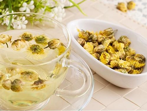 女人喝菊花茶的好处 菊花的副作用太大了