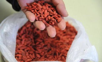 女人吃黄芪的最佳时间 三种人坚决不能喝黄芪