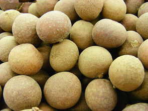 女人吃龙眼的十大好处 六种人不宜吃龙眼