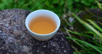 女人喝水仙茶的好处和坏处 水仙茶叶的功效好处