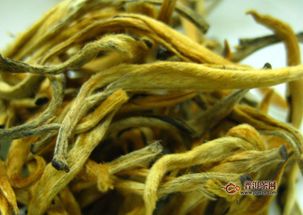 女人适合喝红茶还是绿茶 女生每天喝红茶的危害