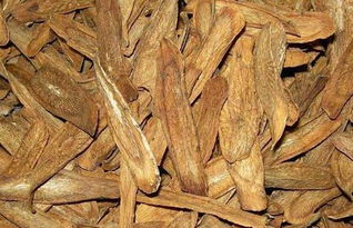 女人长期喝牛蒡茶的好处 三种人不宜吃牛蒡