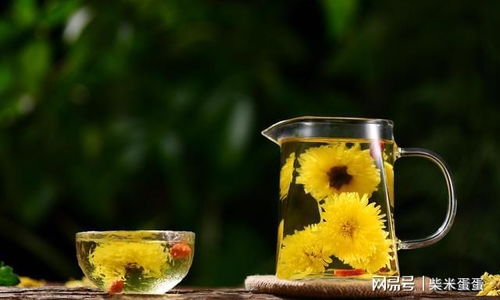 女性喝菊花茶的危害 菊花的副作用太大了