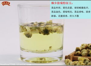 女性喝杭白菊好还是贡菊好 杭白菊一天喝几朵为好