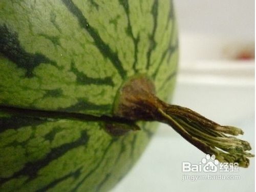 如何挑选西瓜生熟窍门 挑西瓜最好的三个方法