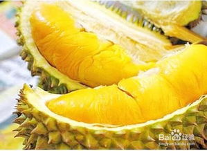 如何挑榴莲最好的方法 如何挑选榴莲图解