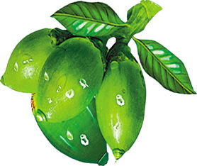 女生的槟榔长什么样子的 女生奖励自己的槟榔