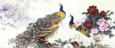 孔雀的吉祥语短句 孔雀唯美句子短句
