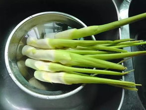 孩子吃茭白的好处和坏处 三种人千万不能吃茭白