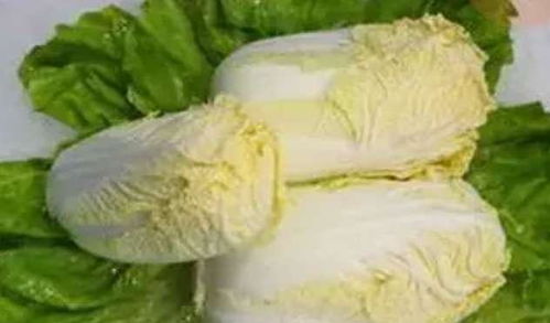 娃娃菜就是大白菜吗 娃娃菜为什么不建议吃