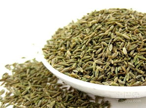 孜然一年可以种植两次吗 孜然种植一亩成本多少