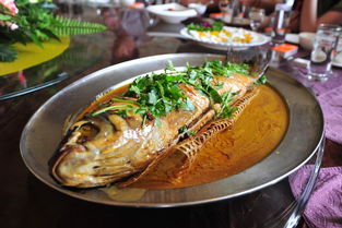 家里什么可以代替鱼食 小鱼一般吃什么食物