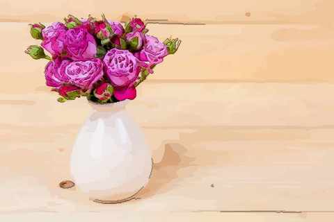 家中有空花瓶怎样化解 空花瓶放硬币禁忌