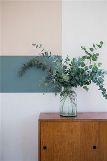 家里摆放尤加利的好处 尤加利果为啥要放卧室呢