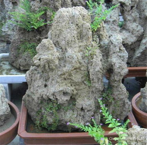 家里放吸水石的八大禁忌 吸水石放哪个位置招财