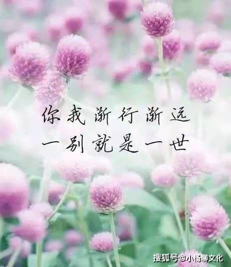 对植物生命力的赞叹句子 植物重生的唯美句子