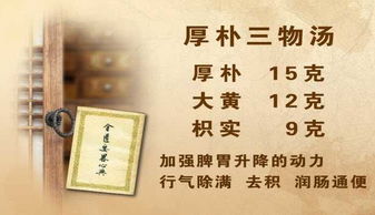 小承气汤与厚朴三物汤区别 倪海厦厚朴三物汤用法