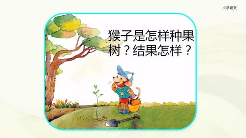 小学生观察植物生长过程 小学二年级种植植物记录
