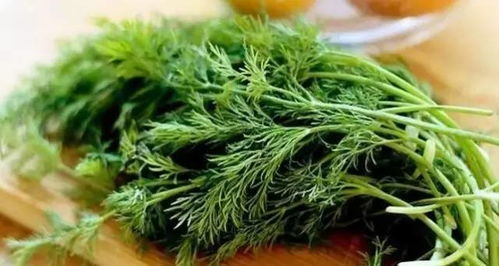 属温热性的绿色蔬菜 30种温性蔬菜