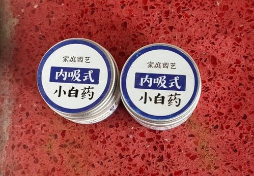 小黑飞根除绝招 白醋 小黑飞最怕的克星