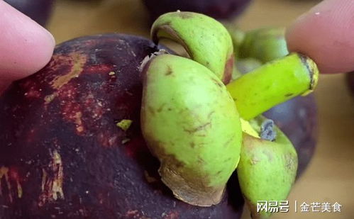 山竹怎么样才是新鲜的 挑选山竹的小技巧