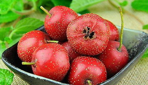 山楂干的作用与功效 山楂泡水喝十大功效