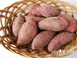 山芋是不是红薯 什么叫山芋