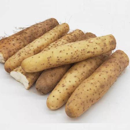 山药控旺最佳时期 山药长势过旺怎么办