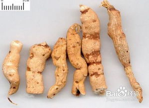 山药和什么相克 山药和什么是绝配