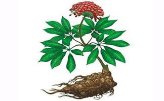 山海经十大仙草 山海经的天材地宝