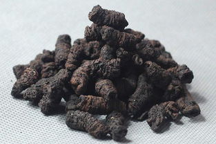 巴戟天泡水喝壮阳吗 一喝就硬的壮阳茶