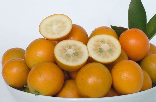 常见的水果100种 1000个水果名字