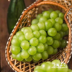 常见的葡萄品种有哪些 48个葡萄品种图片大全
