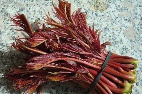 常见最贵的10种蔬菜是什么 世界十大最昂贵的名菜