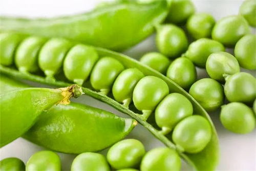 常吃豌豆的十大惊人好处 女人吃豌豆的8大好处