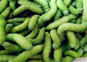 常吃黄豆的五大危害 三种人不能吃黄豆