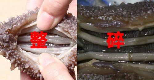 干海参好六七年了能吃么 干海参放置10多年了还能吃么
