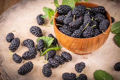 干桑葚一天吃几颗合适 女人一天吃几颗桑葚干