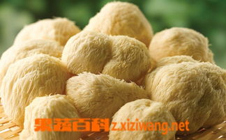 干猴头菇如何泡发和吃法 六种人不宜吃猴头菇