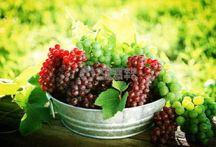 建不建议吃葡萄皮 女生为什么要少吃葡萄