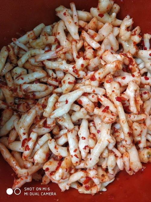 广东腌酸姜的正确做法 广西泡酸姜的做法