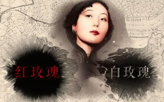 张爱玲的红玫瑰与白玫瑰 红玫瑰与白玫瑰讽刺什么