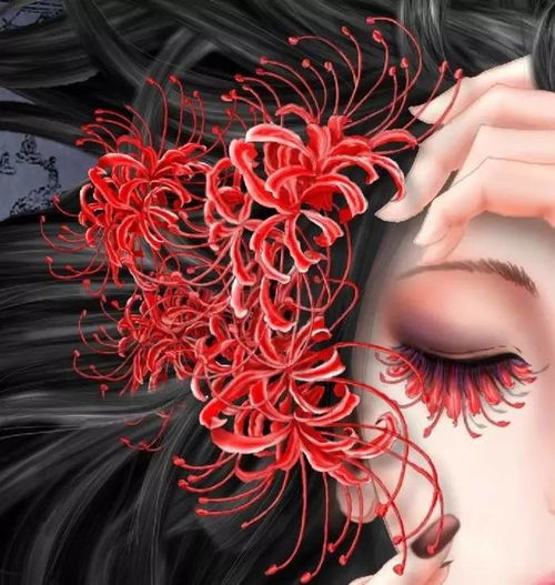 彼岸花一般送给什么人 彼岸花为什么不能拍照