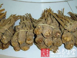 当归的禁忌和副作用 女人吃当归的最佳时间