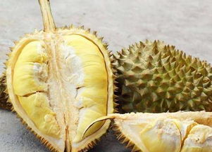 开了榴莲不熟又盖回去能吃吗 榴莲开了又合上会坏吗