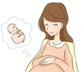 怀孕没你想的那么容易 怀孕其实没那么容易