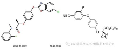 恶唑酰草胺加氰氟草酯药害 恶唑酰草胺注意事项