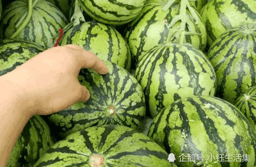 怎么挑选西瓜 挑西瓜最好的三个方法图