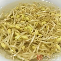 怎样生绿豆芽又大又粗又快 绿豆芽加糖发粗壮原理